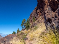 Gran Canaria